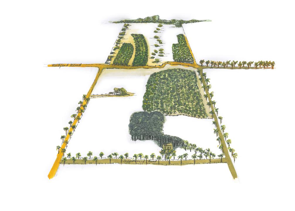 gnadenfrei vineyard drawing