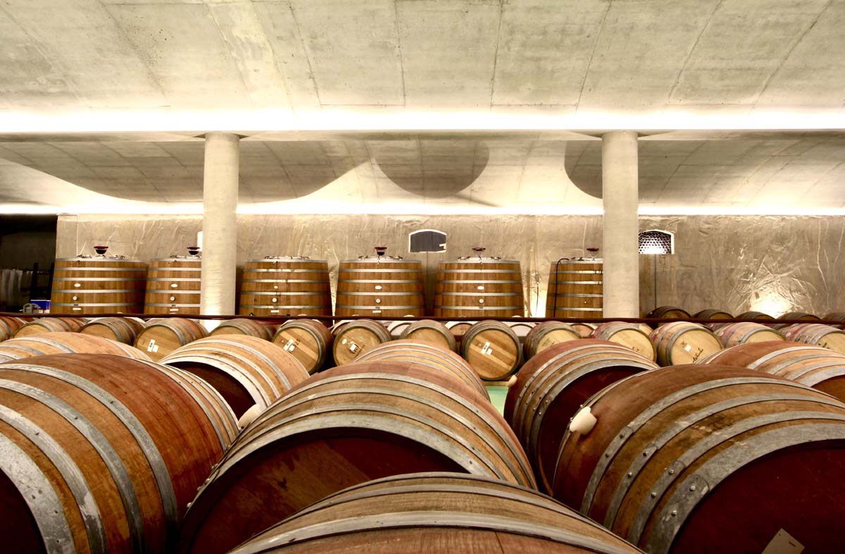 wine barrel cellar