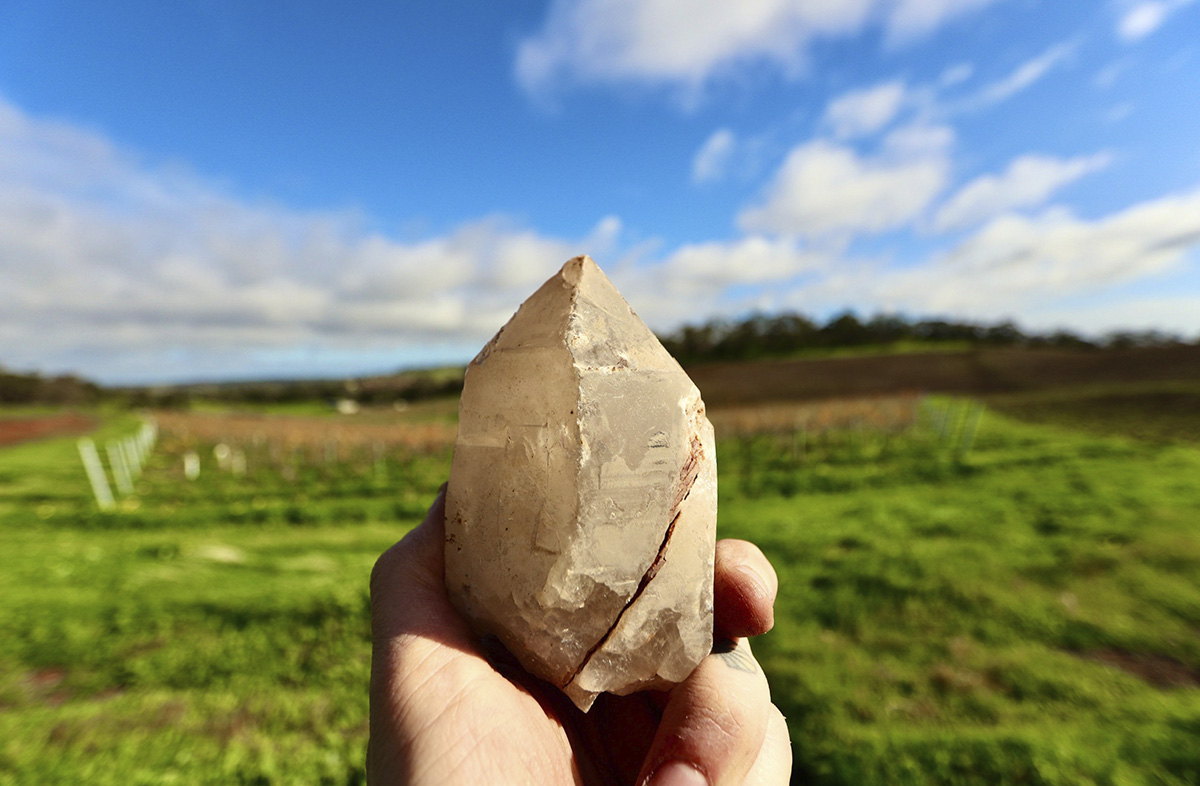 evolution-of-tradition-tscharke-wines-certified-organic-barossa-valley_0001_vision-for-future