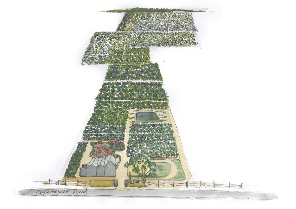 stonewell vineyard drawing