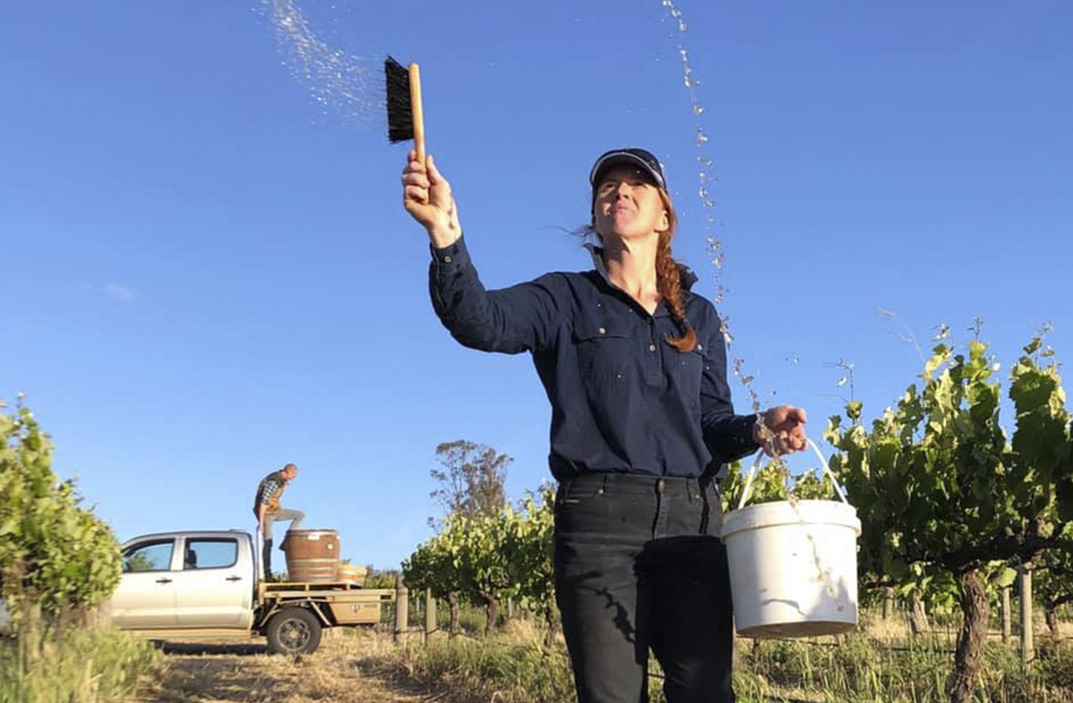 sustainability-tscharke-wines-certified-organic-barossa-valley_0000_certified-biodynamic