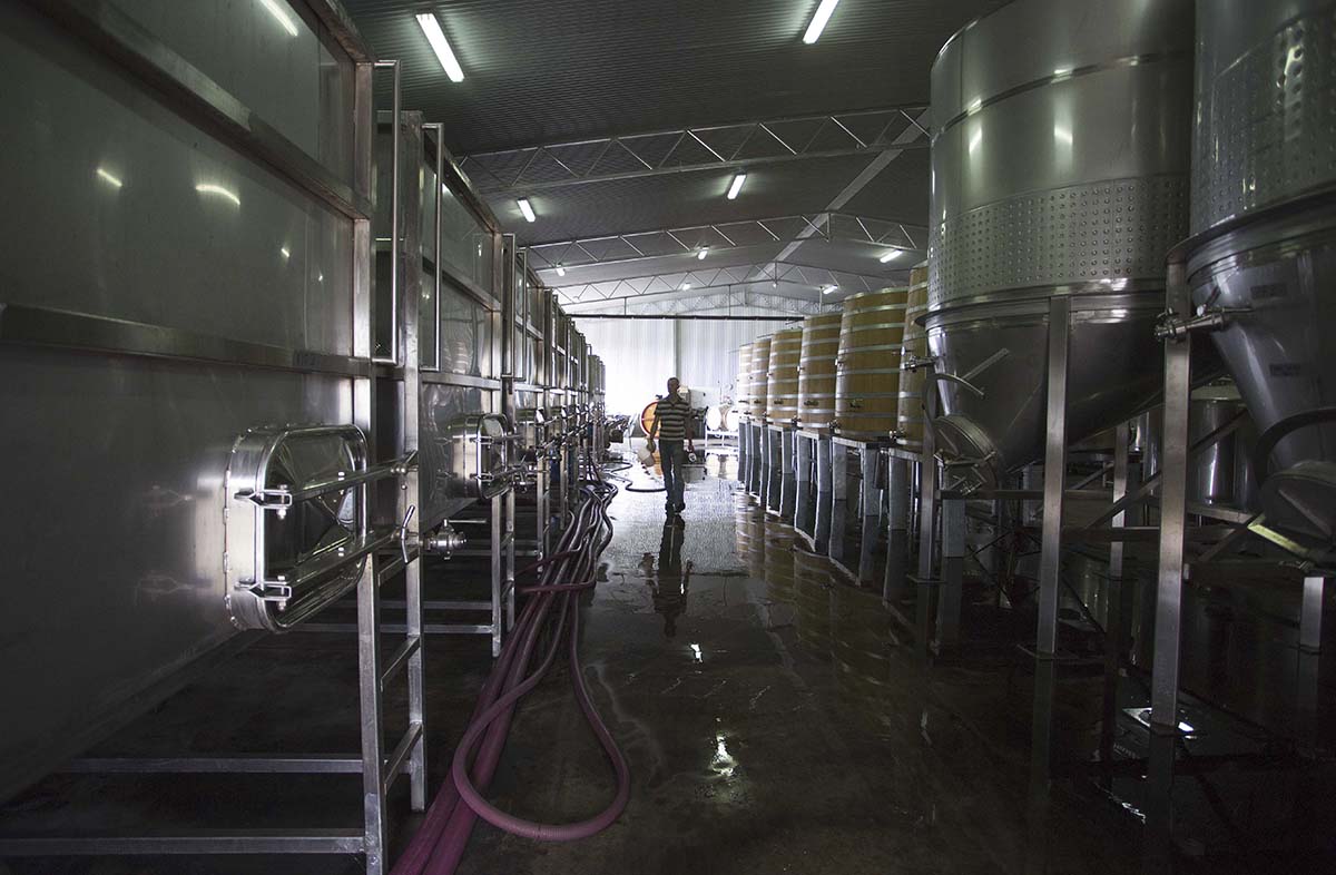 wine making vats